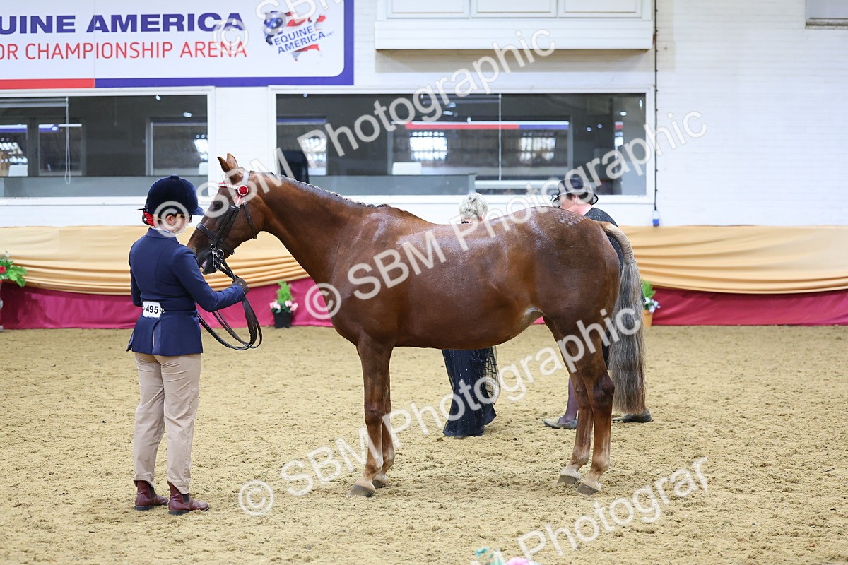 SBM_20925 - Class 902 - Supreme Final IH Veteran