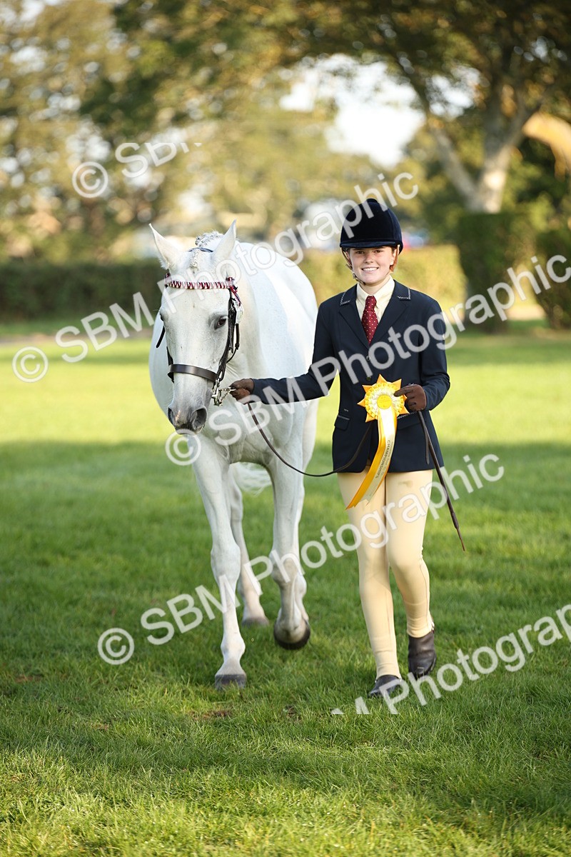 SBM_57601 - S50 - Foreign Breeds In Hand