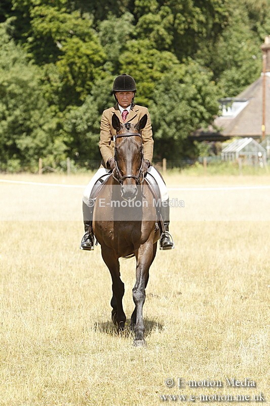 _BS_0705 - BVRC Show 2018 Ring 1