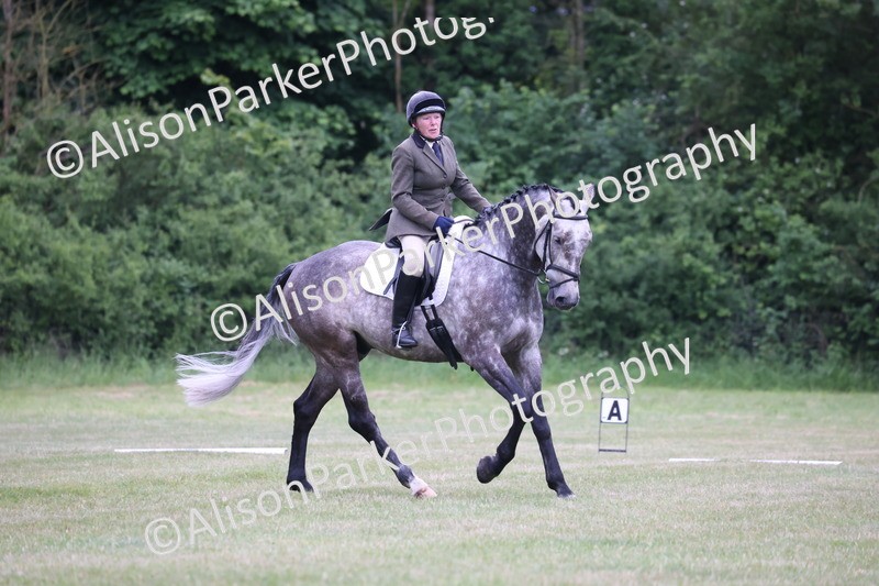 20250605-0399 - Class 3 - Prelim 3