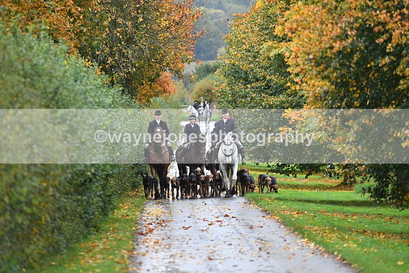 WJ5_6042 - B&B walk back for Hunt Tea !