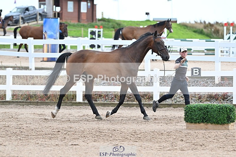 240717A-142531-02063 - Trot Up 2pm to 3pm - This folder is not in time order