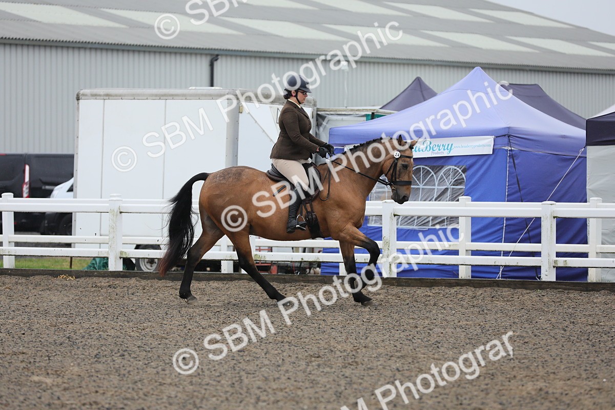 SBM_19917 - Class 801 - Ridden Veteran