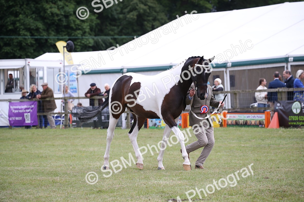 SBM_09868 - Ch 50 - Price Family Supreme In Hand