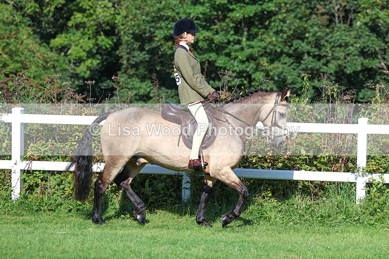 3E7A7813 - Class 2: Open Working Hunter pony