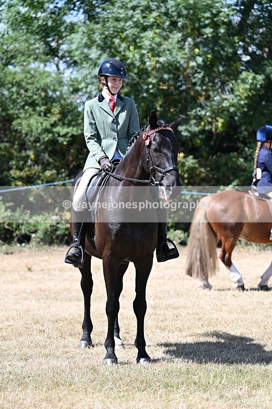 WJ7_3740 - Class 8 Ridden Veterans