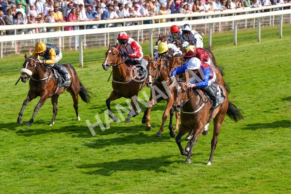 160623-Race 5-Harvanna-6374 - Race 5 4.10pm Juddmonte British EBF Fillies' Restricted Novice Stakes