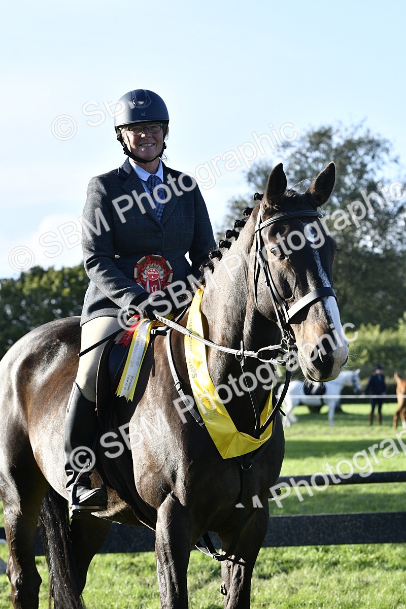 SBM_51750 - Working Hunter Supreme Championship