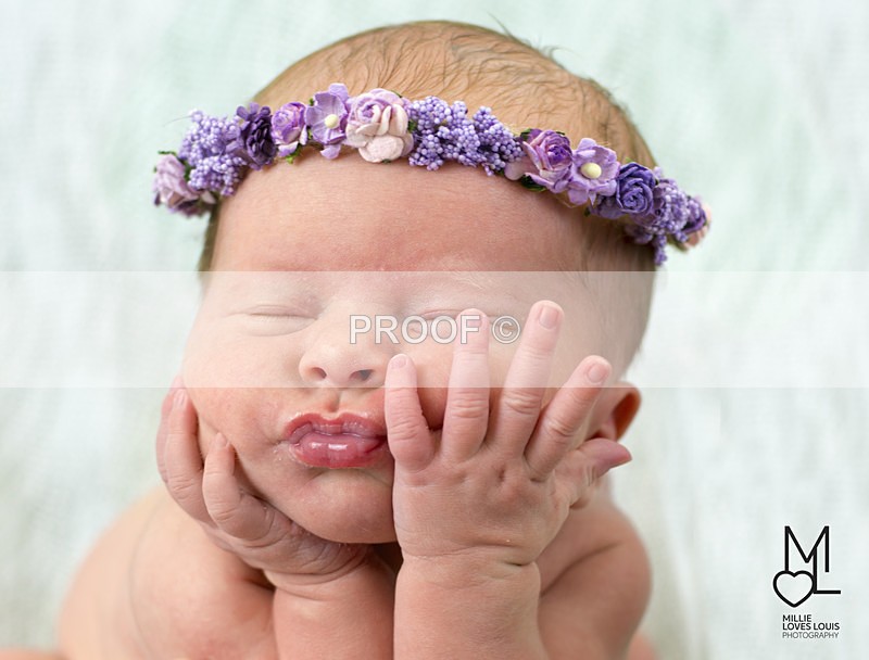 Estella Photoshoot 25th August 2016 Millie Loves Louis Photography  56 - Newborn Photoshoots