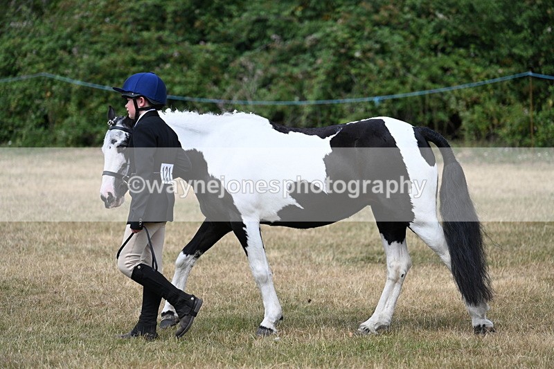 WJ7_1658 - Class 4 Prettiest Mare up to 14.2hh in hand