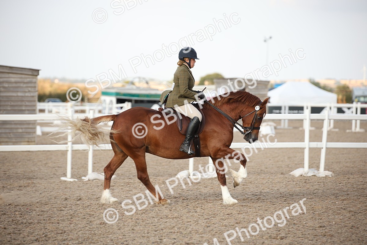 SBM_09195 - Regional Ridden Champ