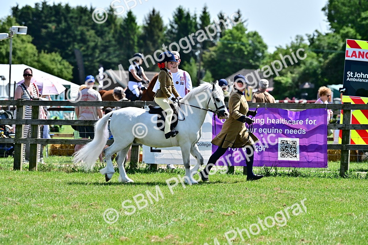 SBM_05770 - Class 59-60 - TSR M&M  Lear Rein and First Ridden Amateur of the year