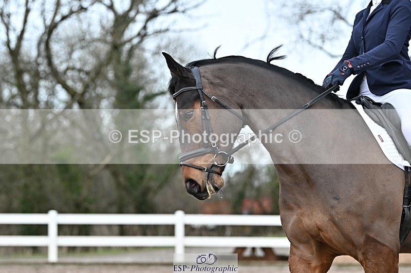 250125-142129-00821 - Dressage - CT Class 7 BE Novice 112