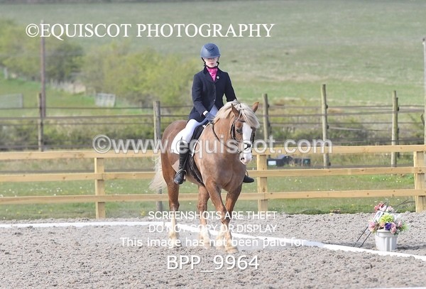 BPP_9964 - TEAM QUEST PRELIM 3