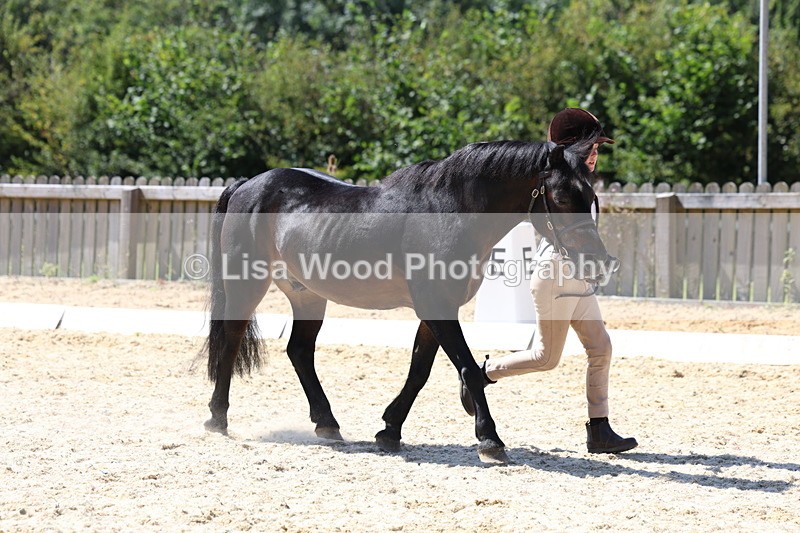 3E7A9391 - Class 29: Veteran In Hand