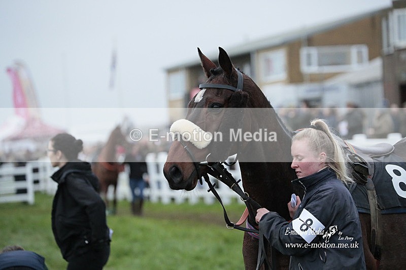 PtP 271122 991 - Hursley Hambledon Hunt Point-to-Point - Larkhill - 27/11/22