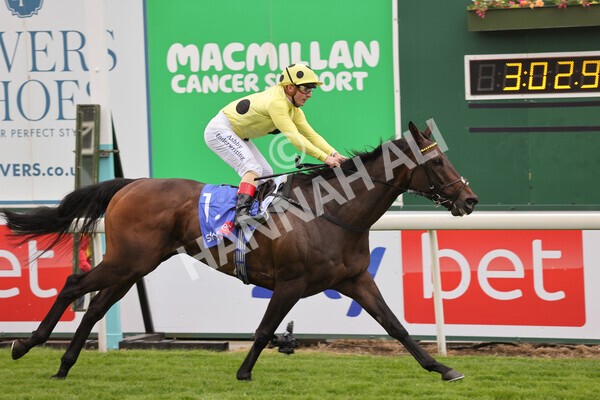 yr11062022r4-26 - Race 4 3.05pm Sky Bet Grand Cup