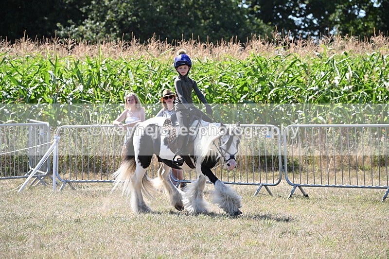 WJ6_8960 - Class 38 Ridden Riding Horse/Pony