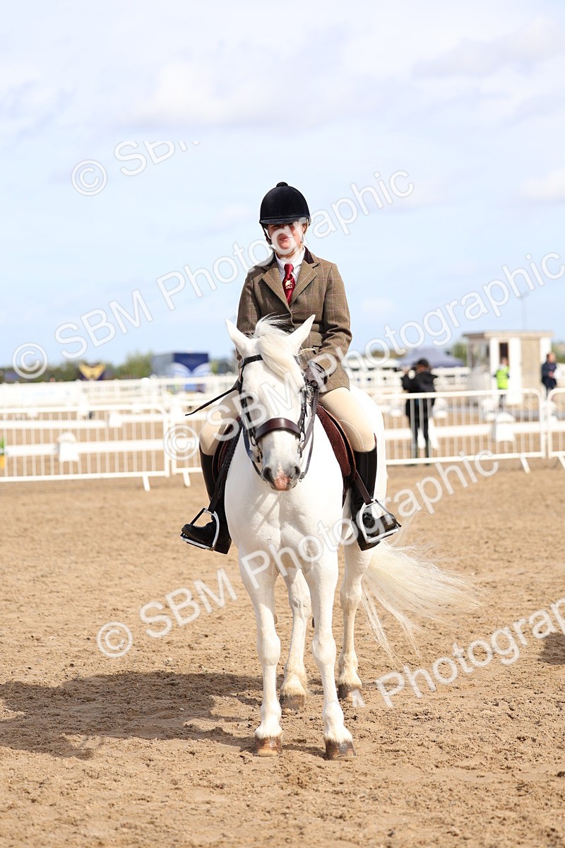 SBM_02383 - Class 19 - Horse or Pony Judge would most like to take home
