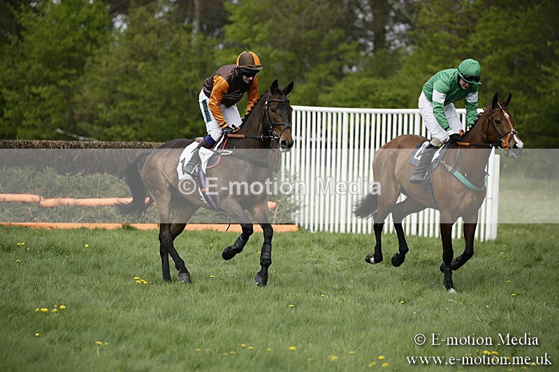PtP 170417 161 - Old Berks Point-to-Point Lockinge 17/04/17