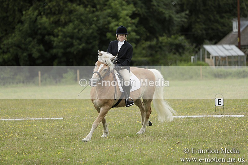 BVR160717-1162 - Class 2 Dressage 16/07/17