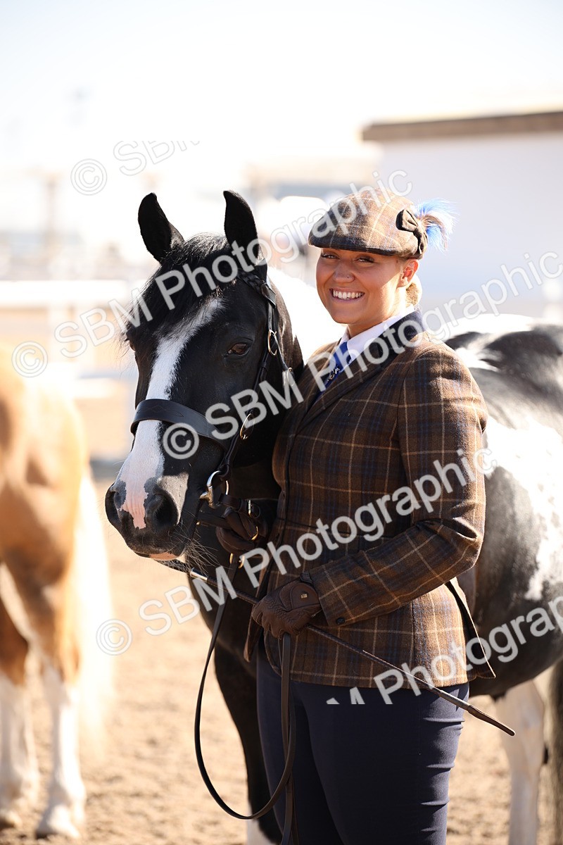 SBM_01538 - Class 15 IH Coloured