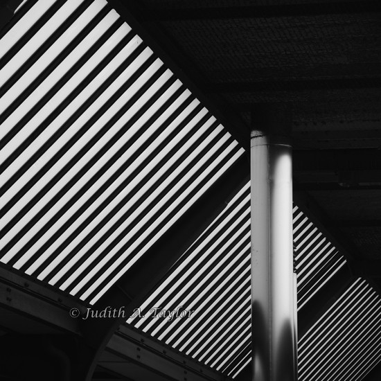 Canopy in Cornavin station Geneva