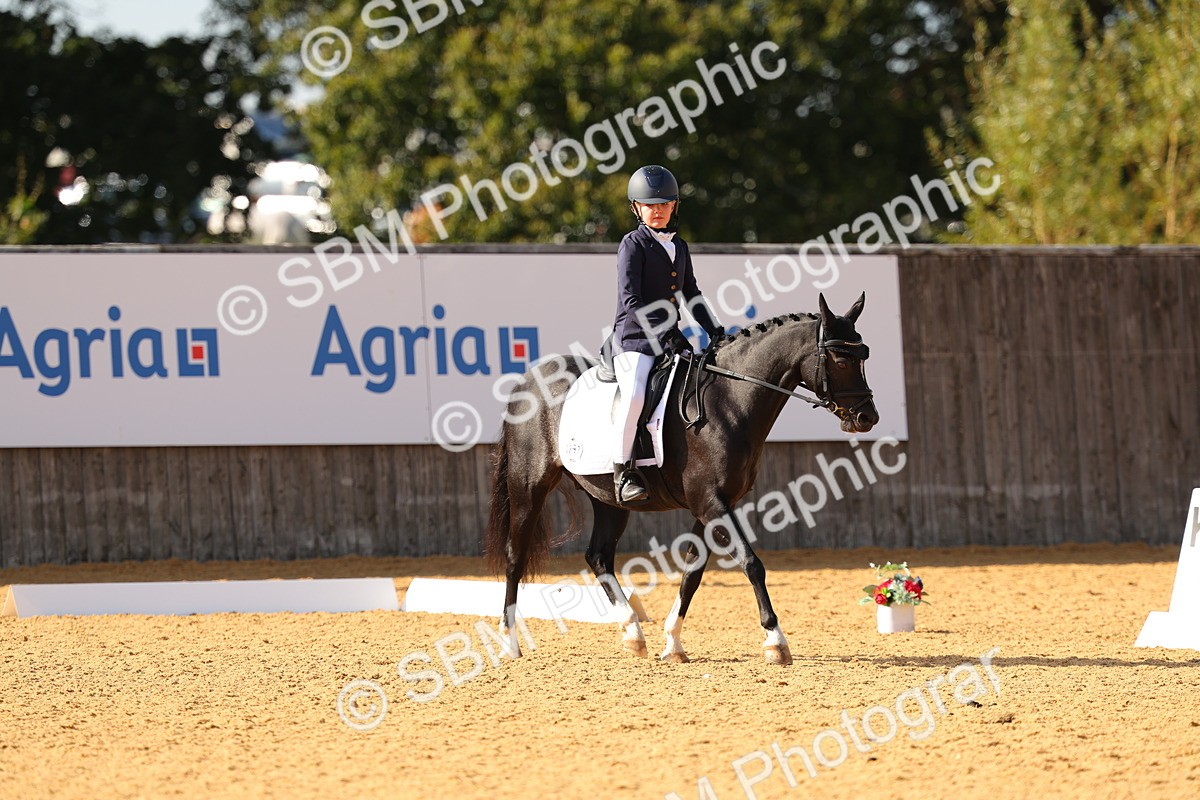 SBM_48454 - D22 - Junior Championship - Intro B