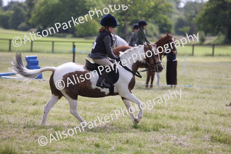 20260614-0697 - Class 20 - Beginners Working Hunter Pony