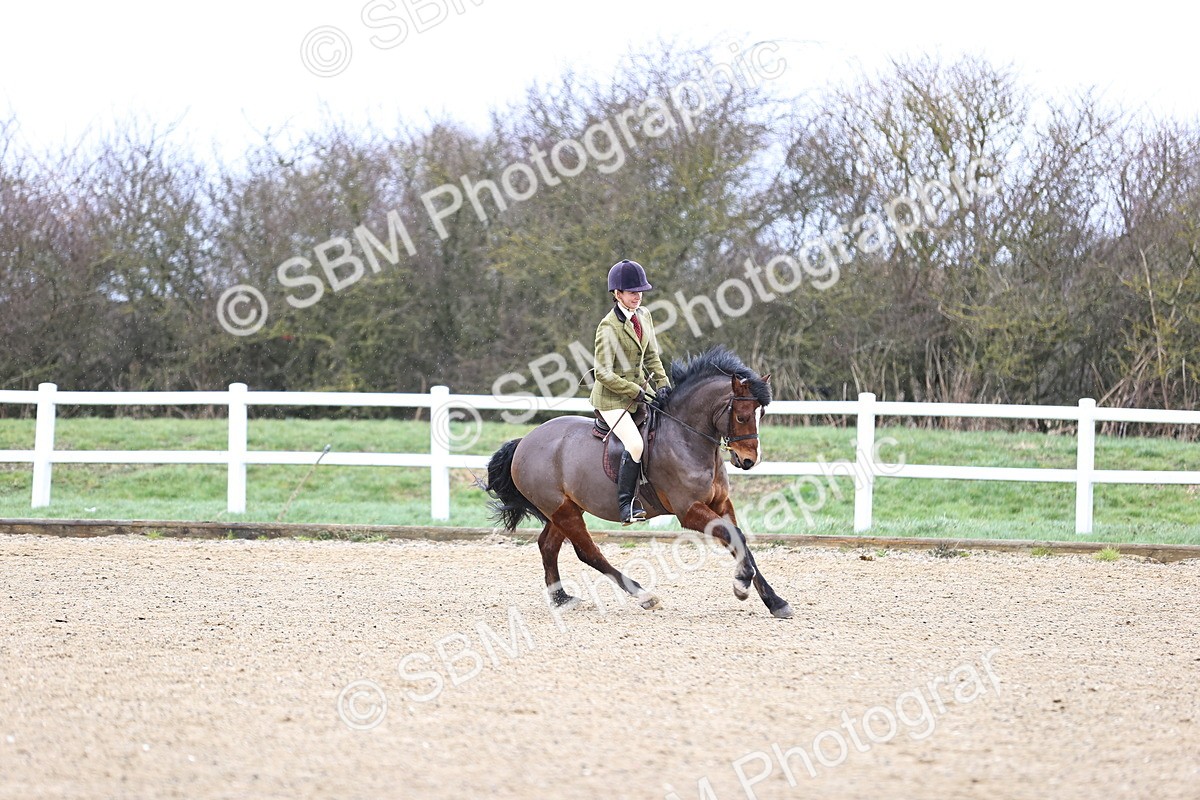 SBM_007597 - Class 31-32 - M&M Confined Novice Small-Large