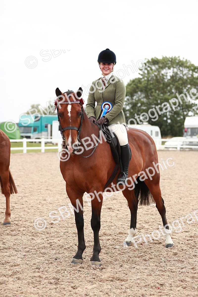SBM_17632 - Class 215 Ridden Hack/ Riding Horse