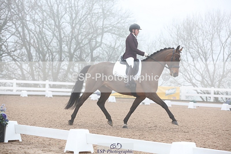 240217A-094230-00805 - 114-kelly.jewell-Juno.Watt