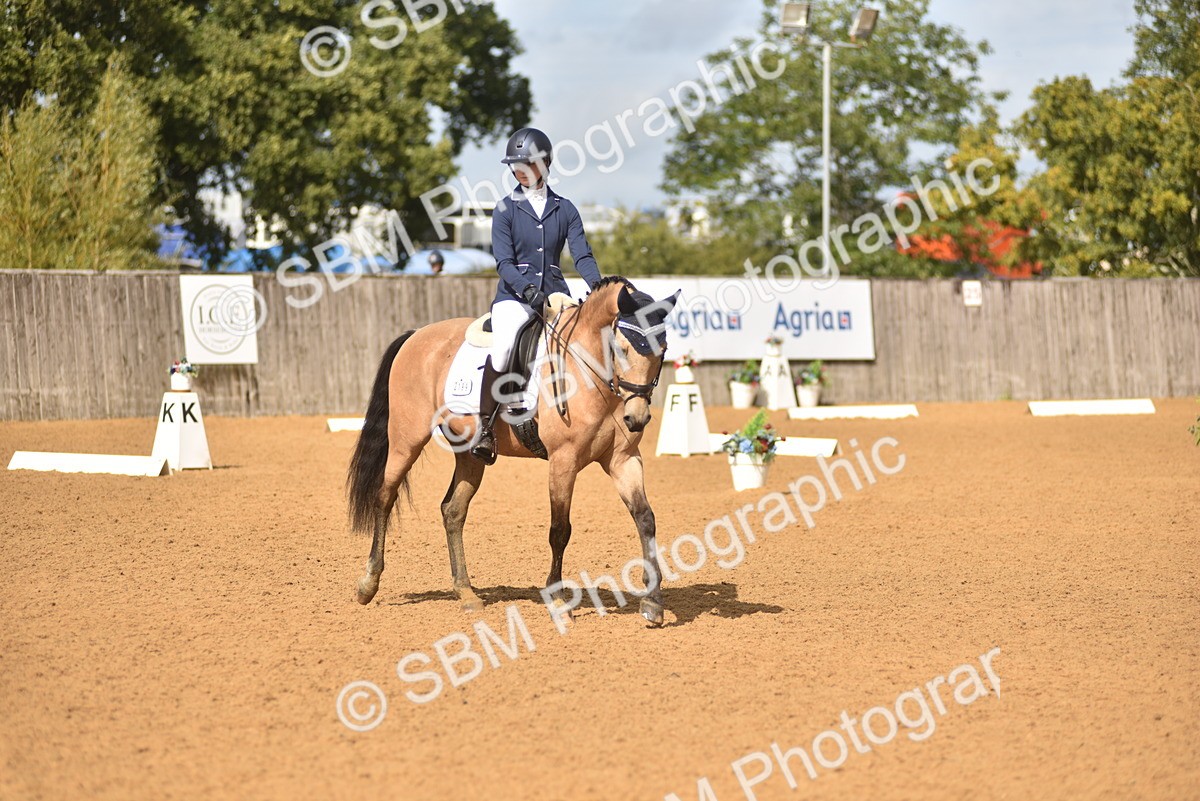SBM_42302 - D22 - Junior Championship Intro 3