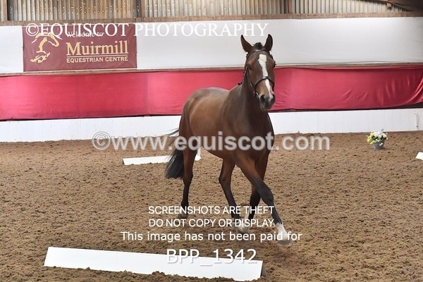 BPP_1342 - MORNING 9AM - 12PM