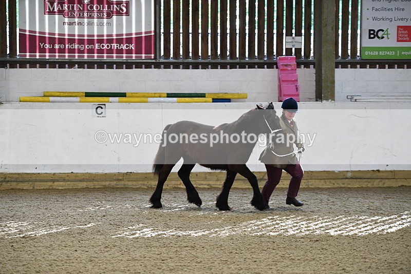 WJ5_3518 - Class 1 Youngstock