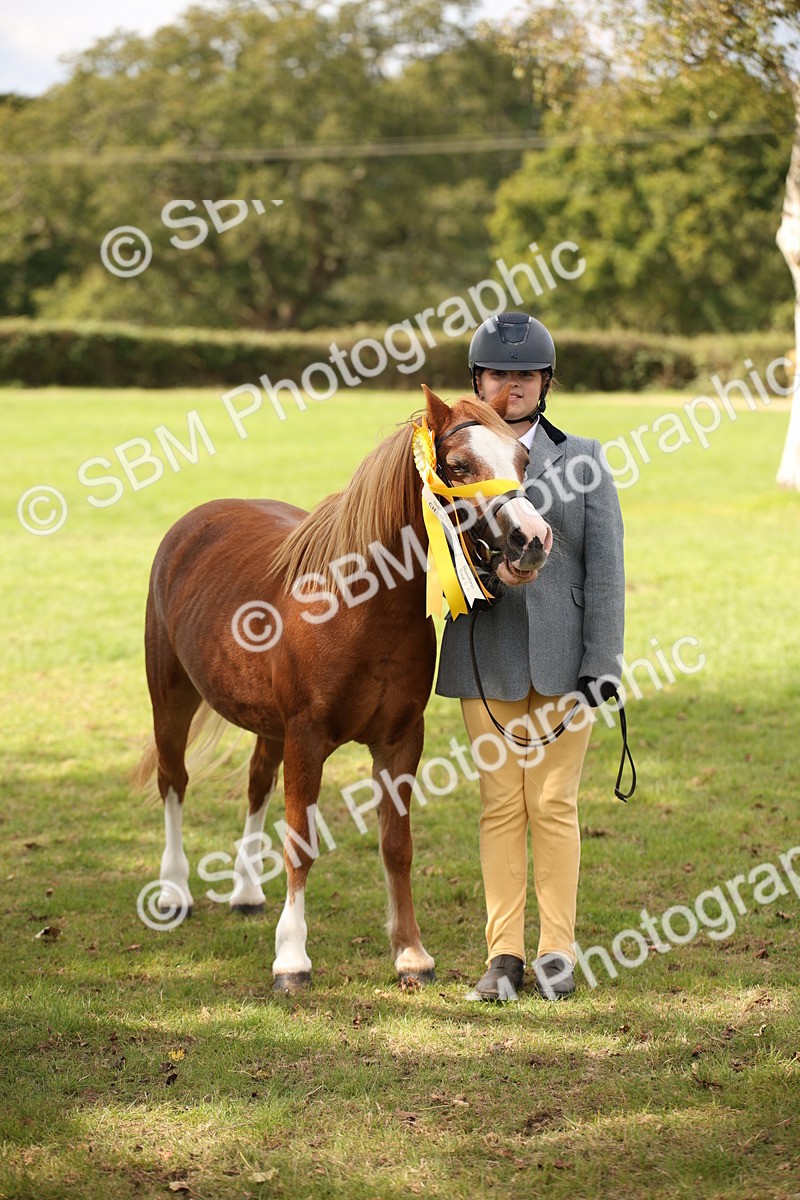 SBM_44528 - S24 - Young Veteran in hand