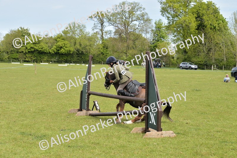 20260426-2385 - Class 21 - Working Hunter Ponies