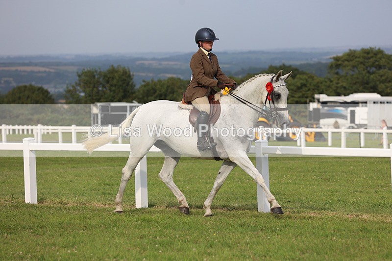 JPP_4636 - Working Hunter Championship