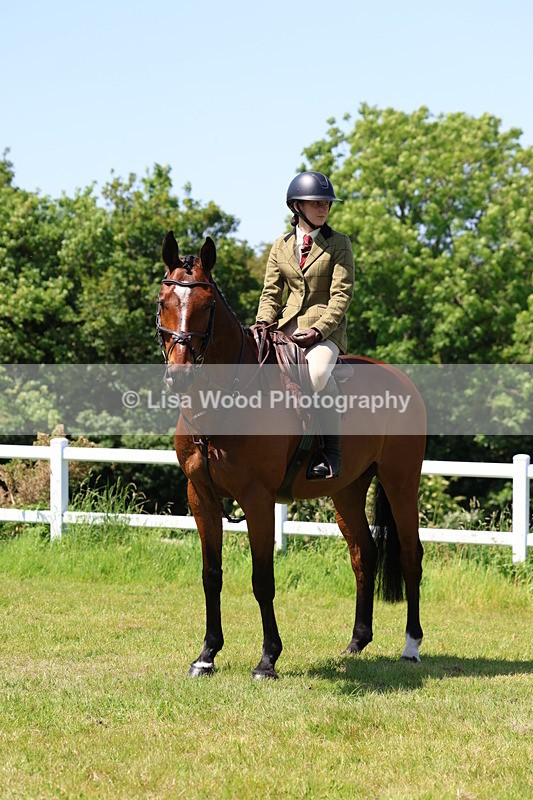 3E7A7381 - Class 30: Novice Working Hunter