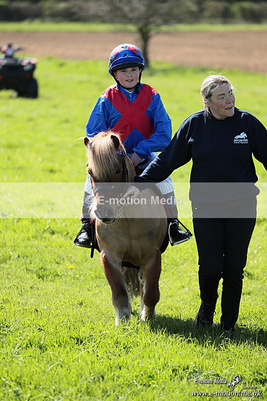 Shet 060426 345 - Shetland Pony Racing Paxford Races Easter Mon 06/04/26