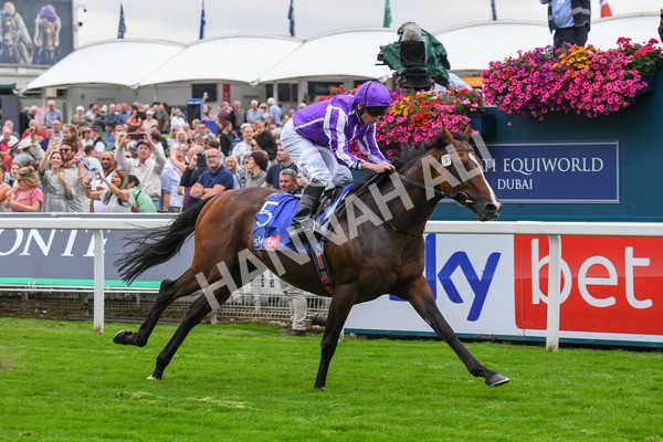 230823-Race 3-Continuous-0470 - Race 3 3.00pm Sky Bet Great Voltigeur Stakes