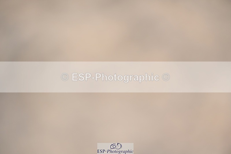 230811-123859-01352 - Cls 4 Adv Medium Silver