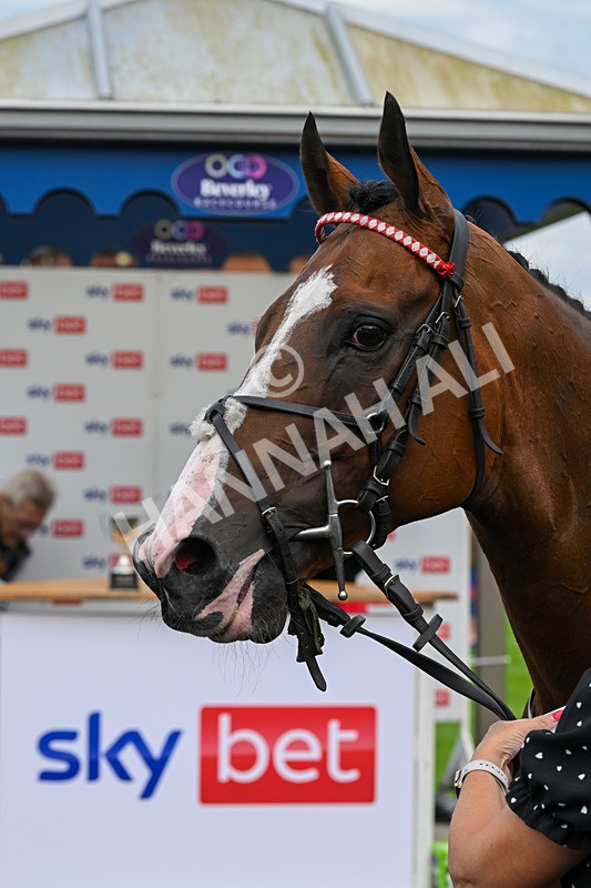 220724-Race 2-Refuge-1312 - Race 2