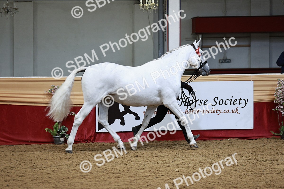 SBM_01161 - Class 3A - Area IH Pre-Vet