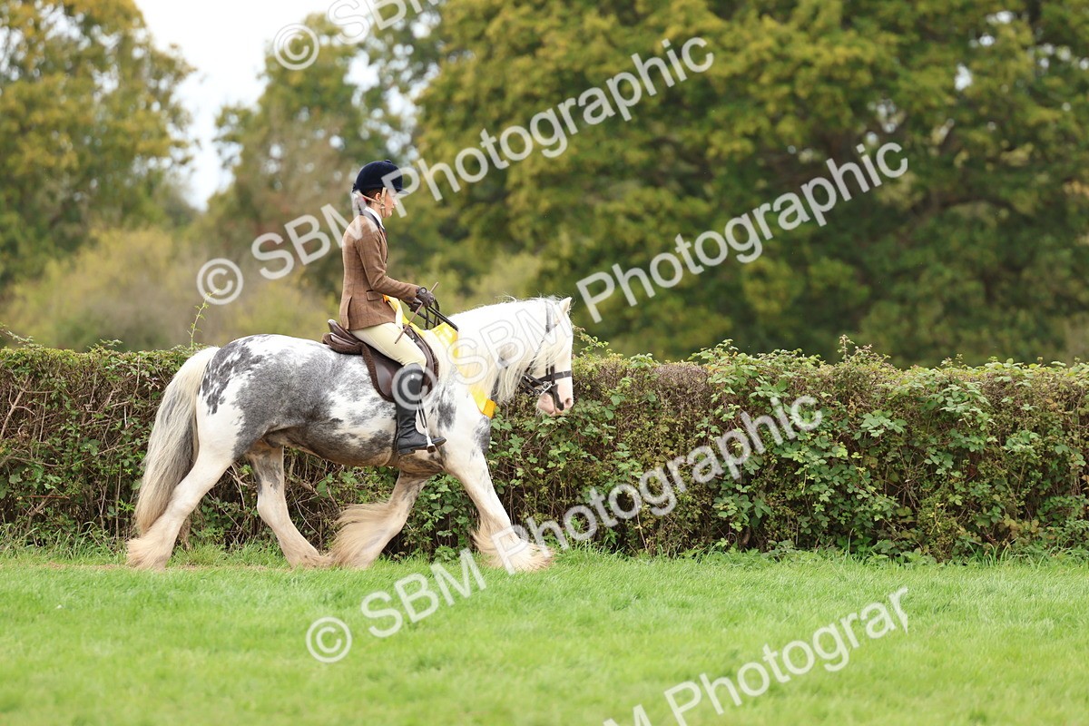 SBM_64680 - S58 - Coloured Pony Ridden