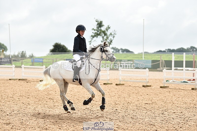 230902A-120840-00953 - Cls 2B Pony Small 80cm