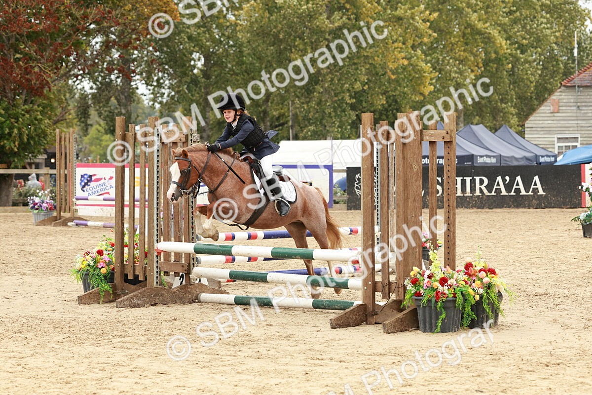 SBM_69158 - J13 - Junior Pony 60cm Championship