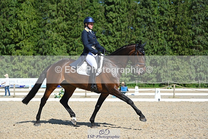 230526-160959-07285 - 254-PURE_TRENDSETTER-Ellie_Fredericks-WEDTrotUp+DR