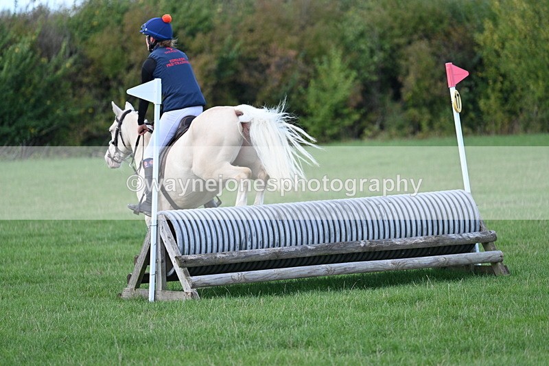 WJ7_0871 - Time 13:30 to 13:54