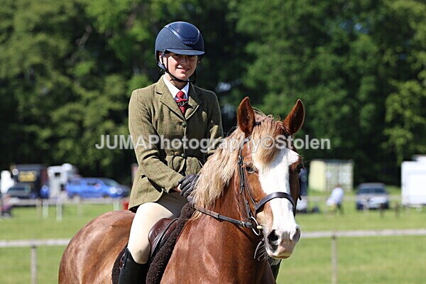 IMG_4426 - Working Hunter
